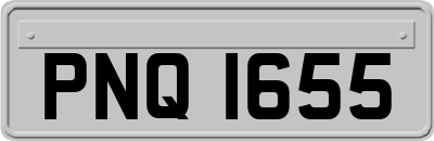 PNQ1655