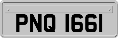 PNQ1661