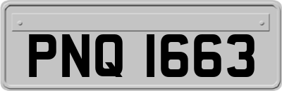 PNQ1663