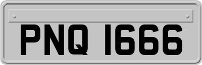 PNQ1666