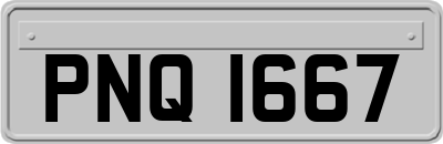 PNQ1667