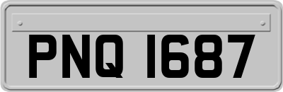 PNQ1687