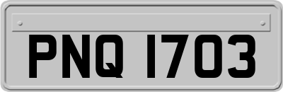 PNQ1703