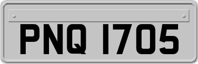 PNQ1705