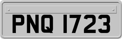 PNQ1723