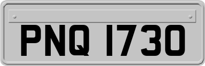 PNQ1730