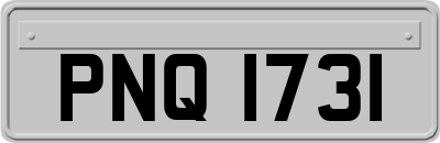 PNQ1731