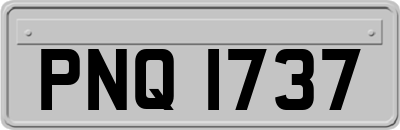 PNQ1737