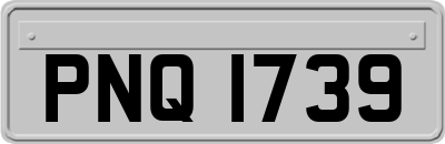 PNQ1739