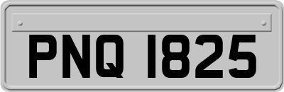 PNQ1825