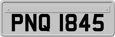 PNQ1845