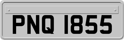 PNQ1855