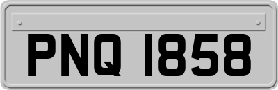 PNQ1858
