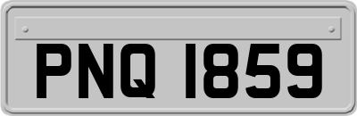 PNQ1859