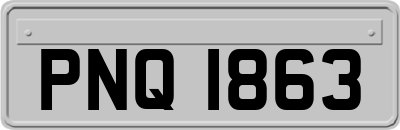 PNQ1863