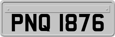 PNQ1876