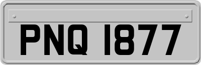 PNQ1877