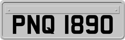 PNQ1890