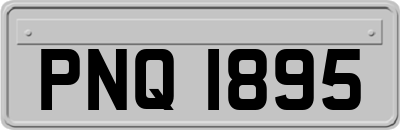 PNQ1895