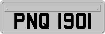 PNQ1901