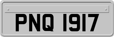 PNQ1917