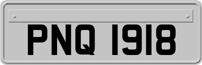PNQ1918