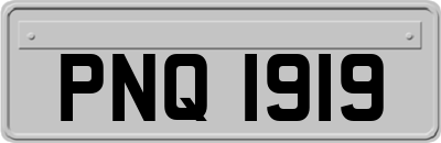 PNQ1919