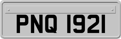 PNQ1921