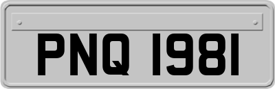 PNQ1981