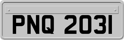 PNQ2031