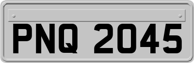 PNQ2045