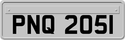 PNQ2051