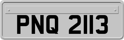 PNQ2113