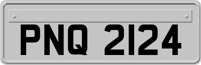 PNQ2124