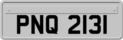 PNQ2131
