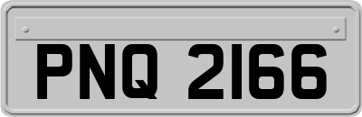 PNQ2166