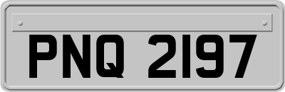 PNQ2197