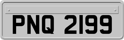 PNQ2199