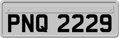 PNQ2229