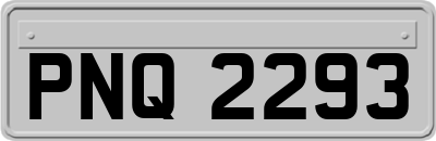 PNQ2293