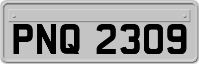 PNQ2309