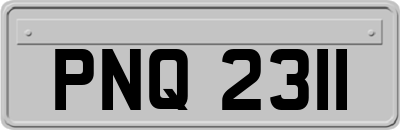 PNQ2311