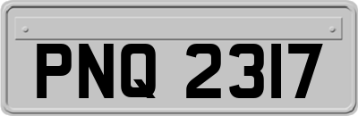 PNQ2317