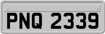 PNQ2339