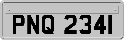 PNQ2341