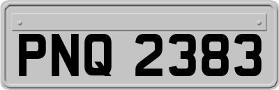 PNQ2383