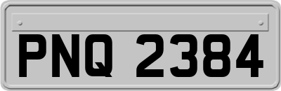 PNQ2384