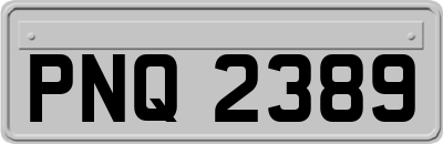 PNQ2389