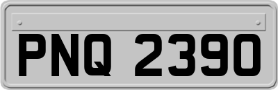 PNQ2390