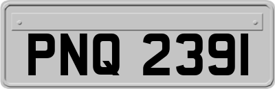 PNQ2391
